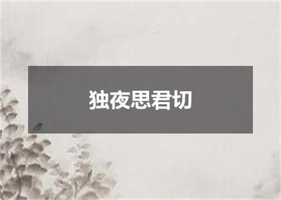 "独夜思君切"的全诗出处及翻译赏析